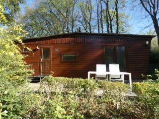 Chalet nr 22 op Bospark Trimunt - Marum - 0