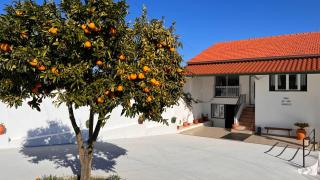 Casa do Avô Patrício - Amazing Country House - Pampilhal - 5