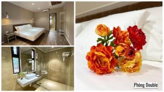 PHOENIX MINH CHÂU HOTEL - Quang Ninh - 7