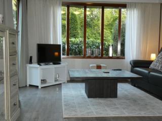 Chalet nr 27 op Bospark Trimunt - De Haar - 4