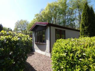 Chalet nr 27 op Bospark Trimunt - De Haar - 9