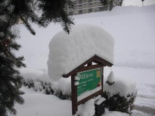 Pension Wiesenau - Bayerisch Eisenstein - 7