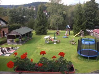 Pension Wiesenau - Bayerisch Eisenstein - 3