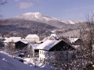 Pension Wiesenau - Bayerisch Eisenstein - 1