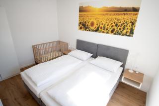 Family XL - Bungalows - Lutzmannsburg - 4