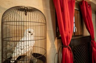 Le Refuge du Sorcier - Enigme & Magie - Libourne - Libourne - 3