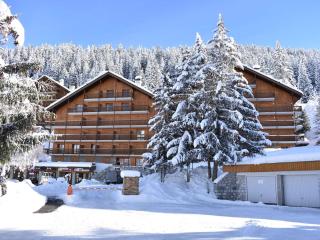 Charmant 2 pièces avec balcon, proche pistes et navette - Méribel, animaux acceptés, wifi inclus - FR-1-180-77 - Méribel - 1