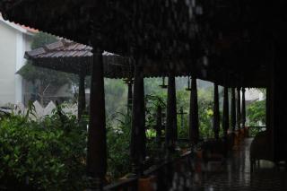 Broad Bean Resort & Spa - Munnar - 3