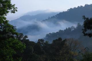 Broad Bean Resort & Spa - Munnar - 6