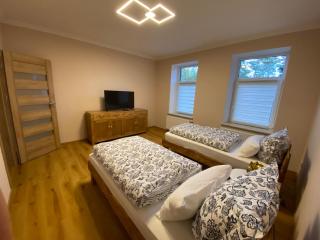 2 Raum Apartment mit Terrasse, hell und stilvoll - Borna - 8
