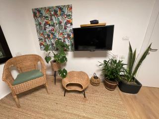 צדפת המדבר - 4