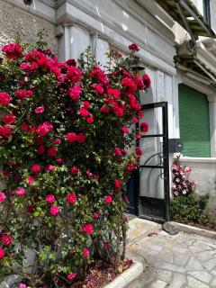 Studio Cosy proche Gare et Centre Ville - Lourdes - 7