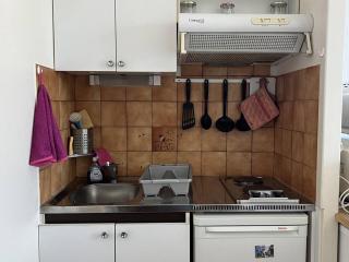 Studio lumineux à Cambo-les-Bains, proche thermes, coin nuit, kitchenette, internet, animaux acceptés - FR-1-495-10 - Cambo-les-Bains - 3