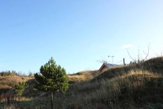 Wilderkin Cabin - 3