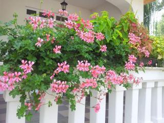 Anna Villa Balatonlelle - 6