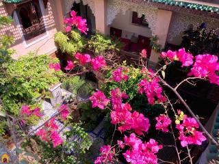 Riad Toyour- Riad of birds - Fez - 0