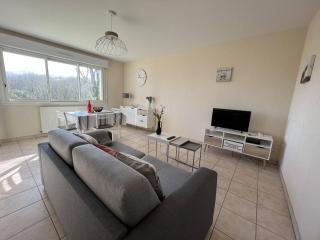 Charmant T2 à Cambo-les-Bains : Terrasse, Parking, Internet - FR-1-495-76 - 8