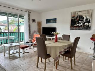 Appartement T2 confortable à Cambo-les-Bains avec terrasse et parking proche centre et thermes - FR-1-495-58 - Cambo-les-Bains - 6