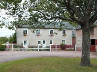 Gîte rénové à la ferme, 4 chambres, jardin clos, WiFi, parking, animaux, activités nature à proximité - FR-1-497-27 - Champosoult - 9