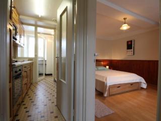 Charmante maison XIXe avec jardin, Wifi et baptêmes de l'air à proximité - FR-1-497-32 - Vrigny - 2