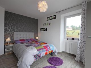 Maison authentique rénovée 7ha, étang, confort moderne, idéal pour familles, animaux acceptés - FR-1-497-53 - Le Cercueil - 7