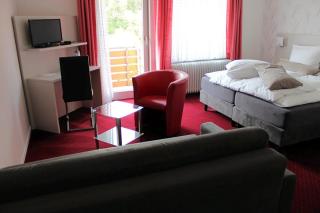 Hotel-Pension Waldhaus - Bad Grund - 4