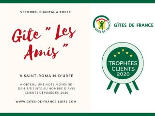 Gîte spacieux avec cheminée, proche forêt, VTT et randonnées, idéal pour familles et détente - FR-1-496-36 - Saint-Romain-dʼUrfé - 9