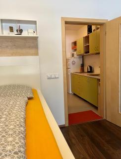 Apartmán u Tesáka - Říčky v Orlických horách - 4