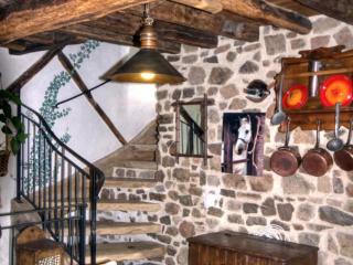 Gîte charmant avec four à pain, jardin, terrasse, jeux et poêle à bois, acceptant animaux - FR-1-496-137 - Chirassimont - 4