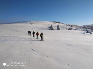 Chalet familial à 5 min des pistes de ski de Chalmazel, 3 chambres, cheminée, animaux acceptés - FR-1-496-138 - Le Champas - 7