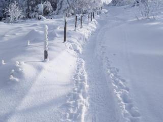 Chalet familial à 5 min des pistes de ski de Chalmazel, 3 chambres, cheminée, animaux acceptés - FR-1-496-138 - Le Champas - 6