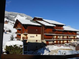 Appartement 4 pers., village, proche pistes, piscine l'été, commerces à pied - FR-1-342-141 - Beaufort - 8