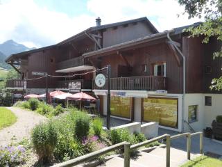 Duplex spacieux 2 chambres avec piscine proche des pistes - FR-1-342-172 - Arêches-Beaufort - 7