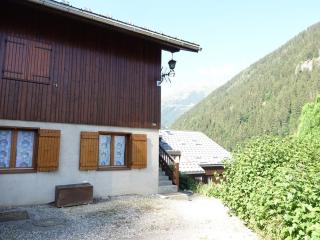 T3 cosy avec cheminée, pour 4-5 pers., skis aux pieds, terrasse sud/ouest, calme à Arêches-Beaufort - FR-1-342-183 - Beaufort - 8