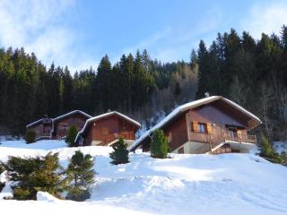 T3 cosy avec cheminée, pour 4-5 pers., skis aux pieds, terrasse sud/ouest, calme à Arêches-Beaufort - FR-1-342-183 - Beaufort - 7