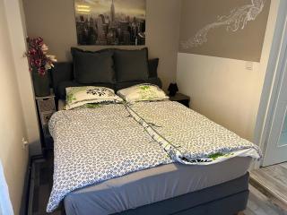 Apartment Impression - Osijek - 1