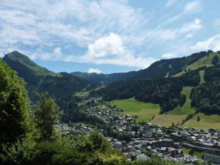 Charmant 2 pièces avec piscine et parking, proche des pistes à Morzine - FR-1-524-75 - Morzine - 8