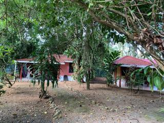 Brigitte's Ranch - Cahuita - 7
