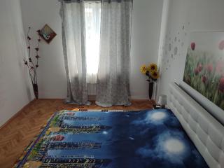 Lovely 1 bedroom apartment in city centre, sleeps 4 ! - Turda - 3