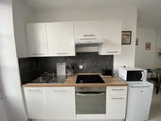 Appartement Rénové avec Cuisine Américaine et WIFI, Proche des Thermes Saint Roch - FR-1-541-32 - La Roche-Posay - 5
