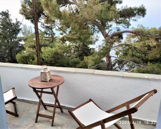Pine Trees and Sea View Houses in Hydra - Daphne, Chloe, Myrto, Eleni - Hydra - 3