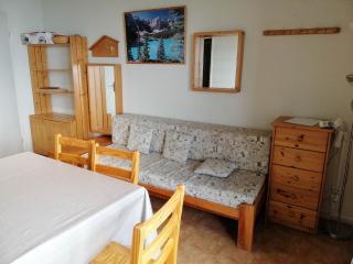 2 pièces cabine, pied des pistes, 5 pers, balcon - FR-1-557-69 - Les Adrets - 0