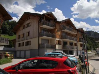 Charmant appartement au centre du village, proche des stations de ski - 4 personnes - FR-1-459-163 - Saint-Jean-de-Sixt - 8