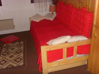 Studio cosy au pied des pistes avec coin cuisine équipé - FR-1-557A-41 - La Ferrière - 0