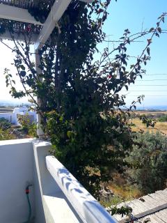 Villa Sofi in Saint George Antiparos (pool&sea) - Andiparo - 3