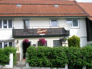 Harzpension Haus Königskopf - 9
