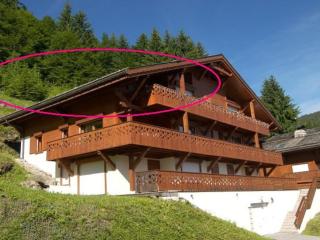 Spacieux appartement 3 étoiles proche des pistes, WIFI, 9-10 pers - FR-1-304-265 - La Clusaz - 9