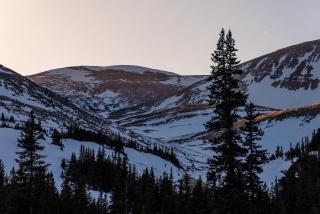 Cozy Cabin Perched on the Mountainside - Alpine Haus - 6