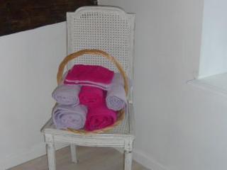 Charmant studio dans ferme avec terrasse et parking - montagnes des Vosges - FR-1-589-164 - 8