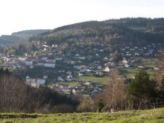 Gîte neuf au calme près de Gérardmer avec terrasse et balades en forêt - FR-1-589-217 - Le Tholy - 8
